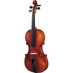 Stradivarius design Violin Sale