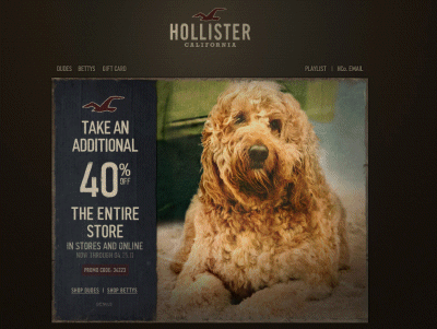 Hollister Coupon Code